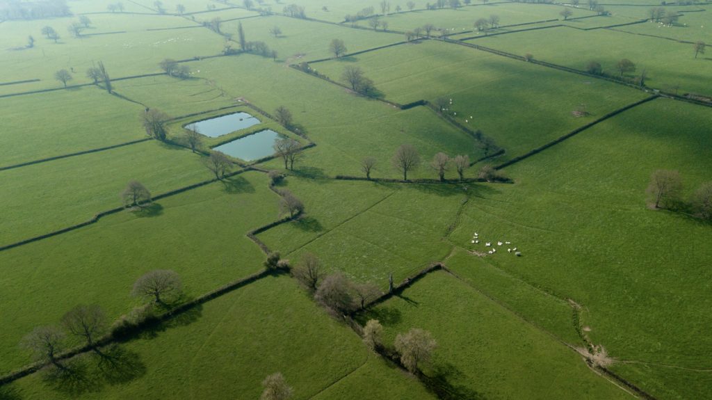 Photo aérienne bourgogne par drone campagne et arbres vue du dessus